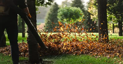 A worker using a backpack blower to clear fallen autumn leaves from a lawn