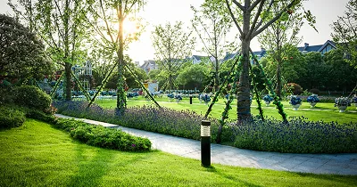 A landscaped park lawn at sunset with young trees, a lavender border and a paved path