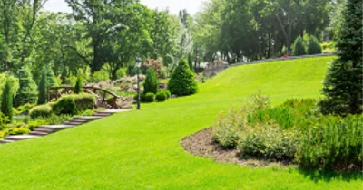 A large manicured commercial lawn with curved planting beds and mature trees